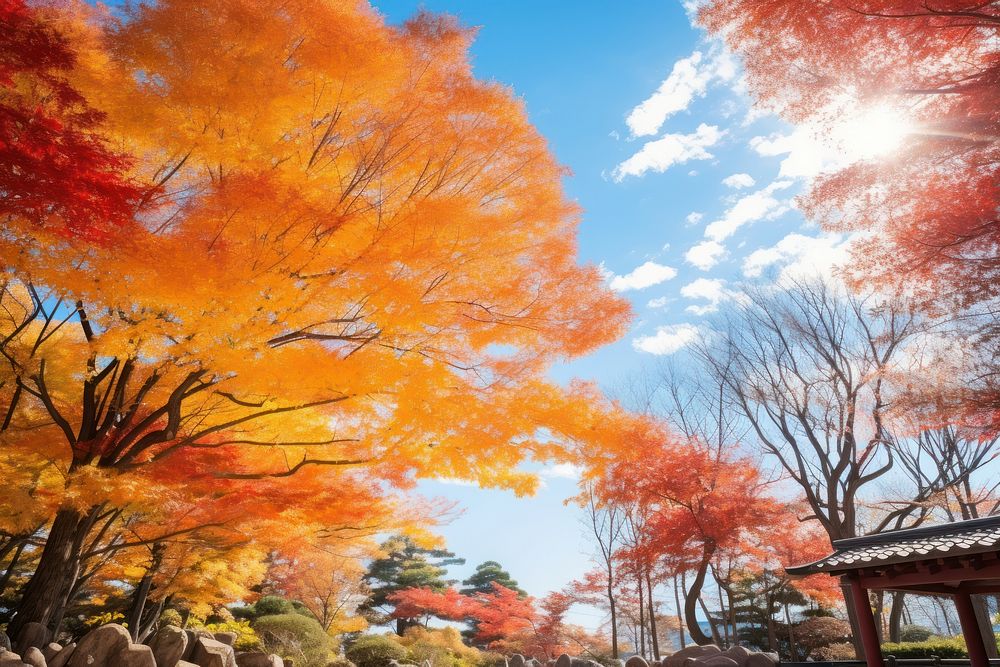 Autumn sky architecture tranquility. 