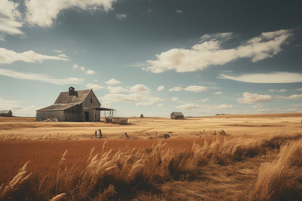 Landscape farm architecture building. 