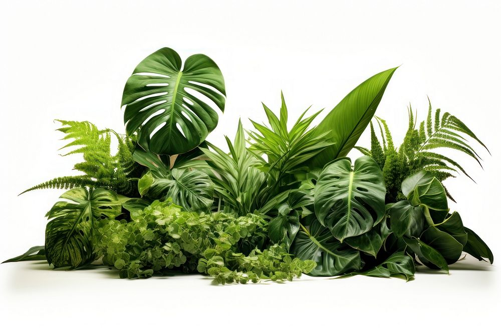 Plant green herbs leaf. AI generated Image by rawpixel.