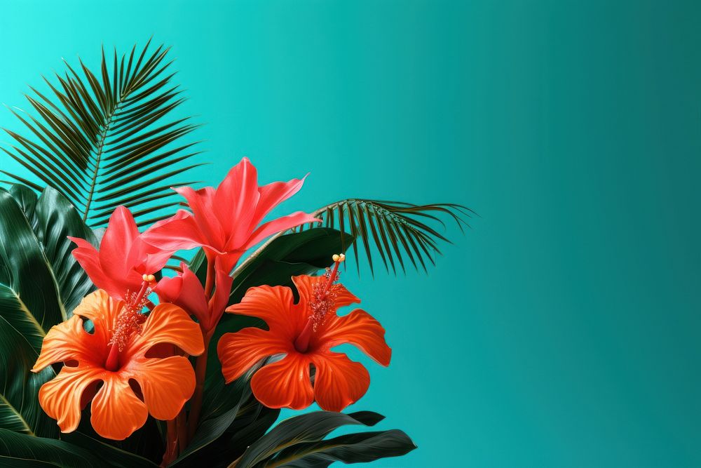 Plant hibiscus tropics flower. AI generated Image by rawpixel.