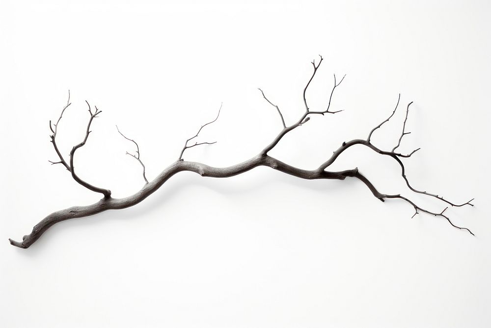 Tree Drawing Branch Sketch Ai Free Photo Rawpixel 3439