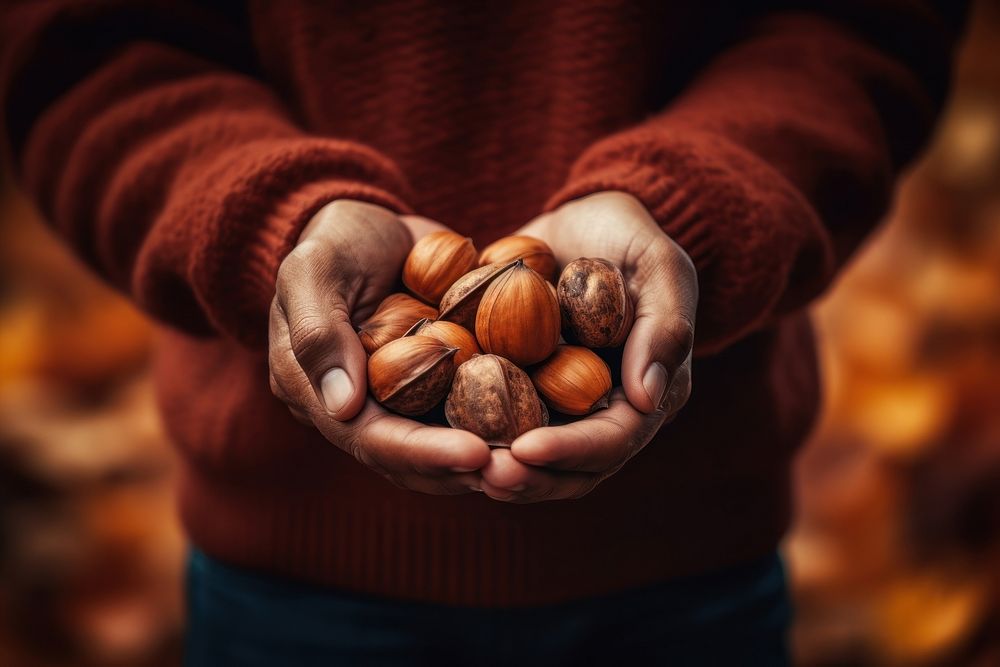 Nut holding autumn plant. 