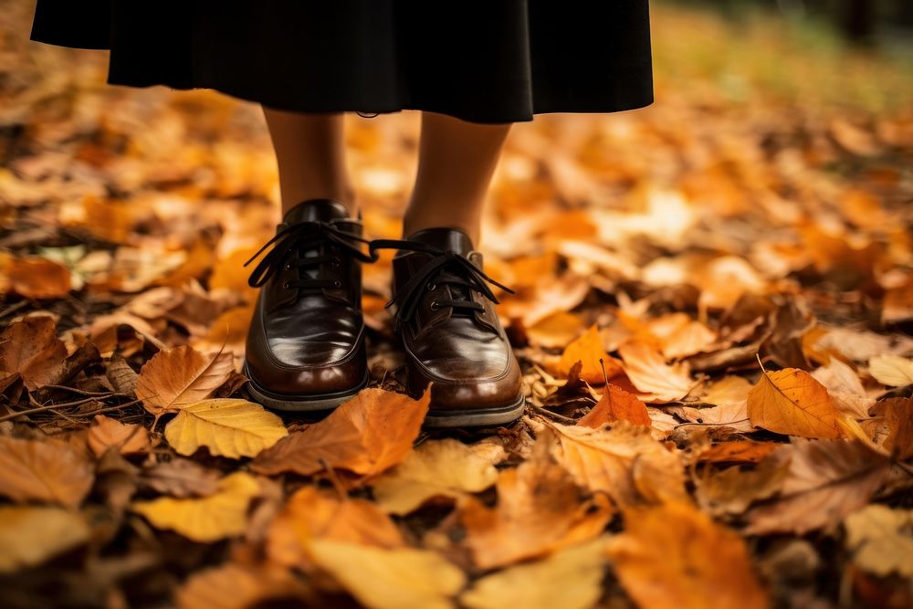 Autumn leaf shoe footwear. 