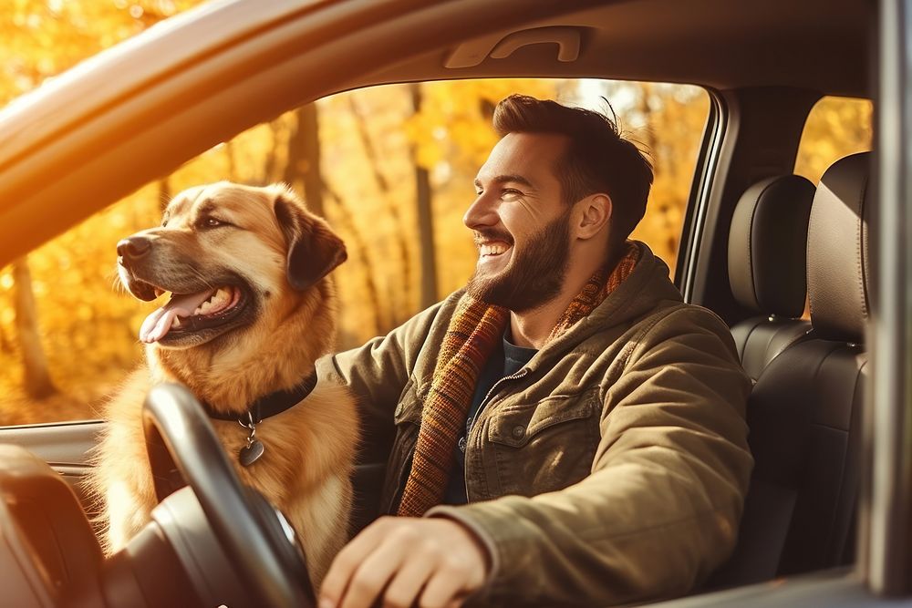 Driving vehicle adult dog. AI generated Image by rawpixel.