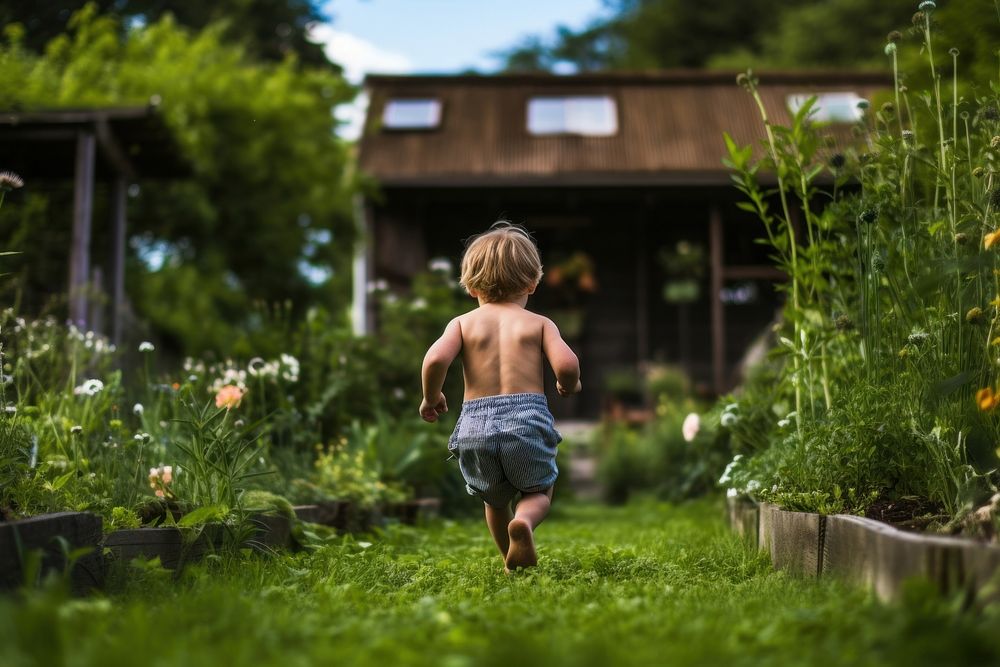 Backyard outdoors garden nature.