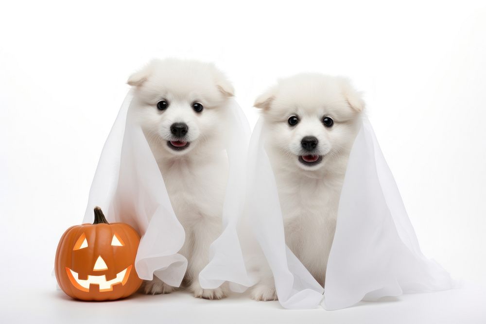 Puppy halloween mammal animal. AI generated Image by rawpixel.