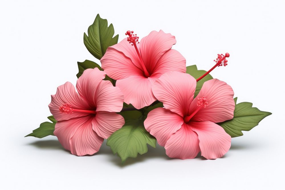 Hibiscus flower blossom plant. AI generated Image by rawpixel.