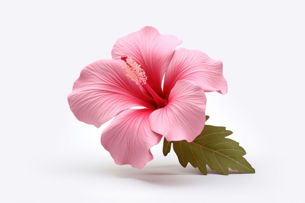 Hibiscus blossom flower petal. AI generated Image by rawpixel.