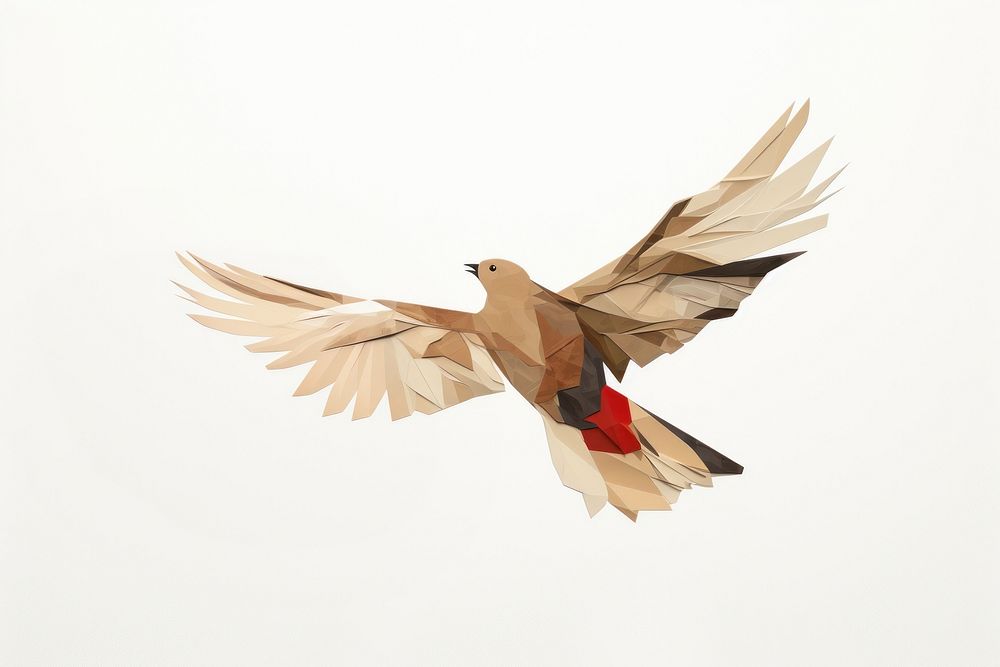 Flying bird animal white background. AI generated Image by rawpixel.