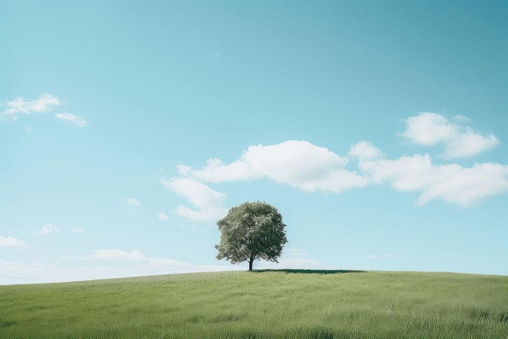 Nature sky outdoors horizon. 