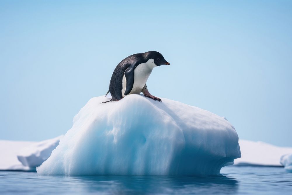 Penguin ice outdoors iceberg. AI generated Image by rawpixel.