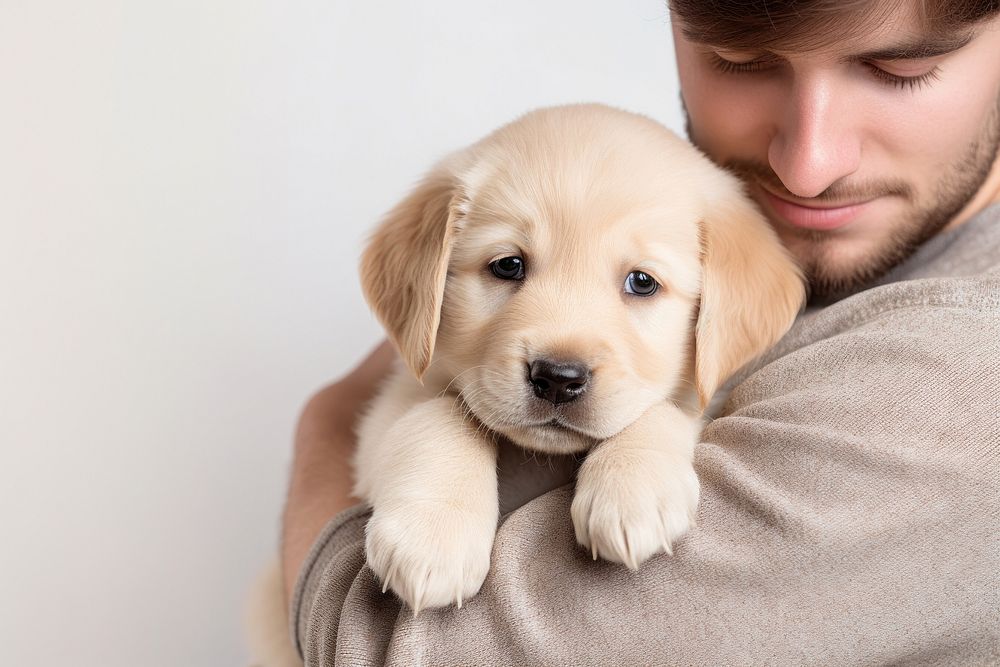 Puppy animal mammal dog. 