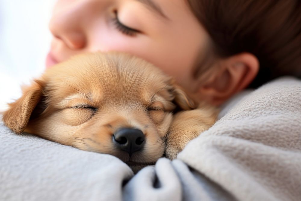 Puppy sleeping blanket mammal. AI generated Image by rawpixel.