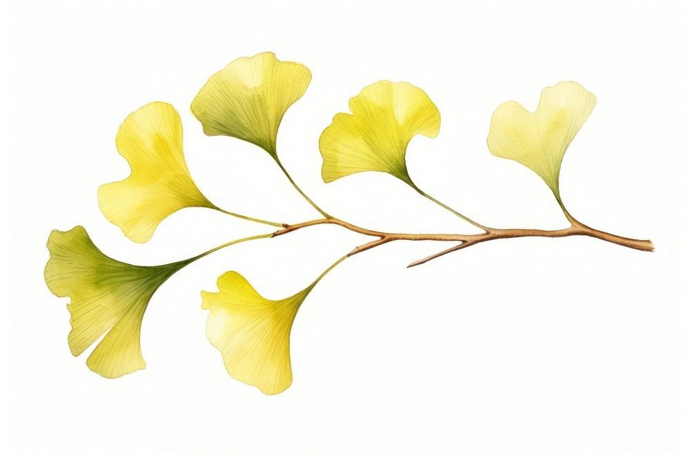 Branch plant leaf white background. AI generated Image by rawpixel.