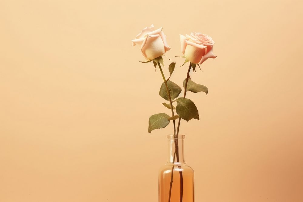 Rose flower plant vase. AI generated Image by rawpixel.