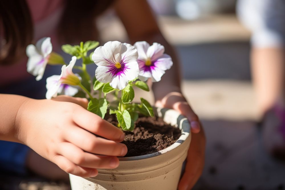 Planting flower gardening outdoors. 