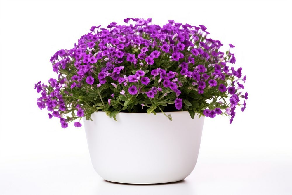 Flower purple plant herbs. AI generated Image by rawpixel.