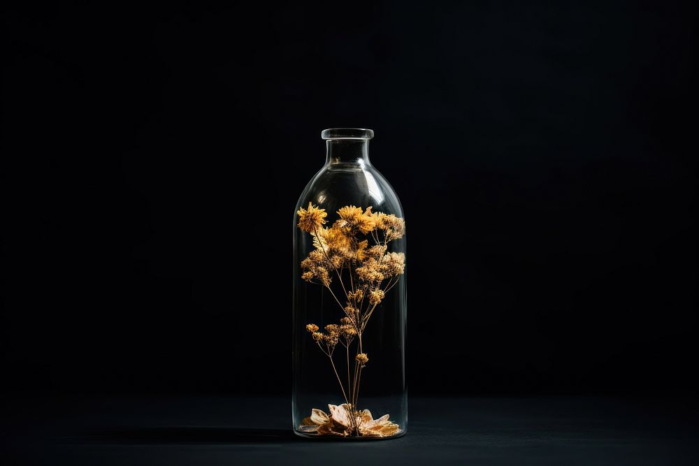Bottle flower vase jar. AI generated Image by rawpixel.