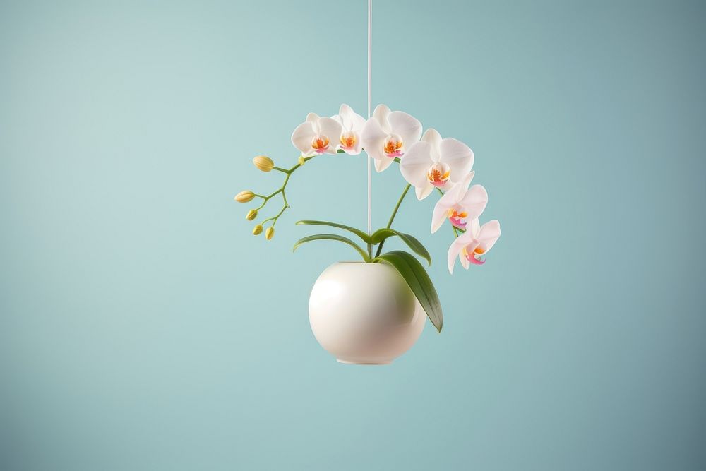 Orchid vase hanging flower. AI generated Image by rawpixel.