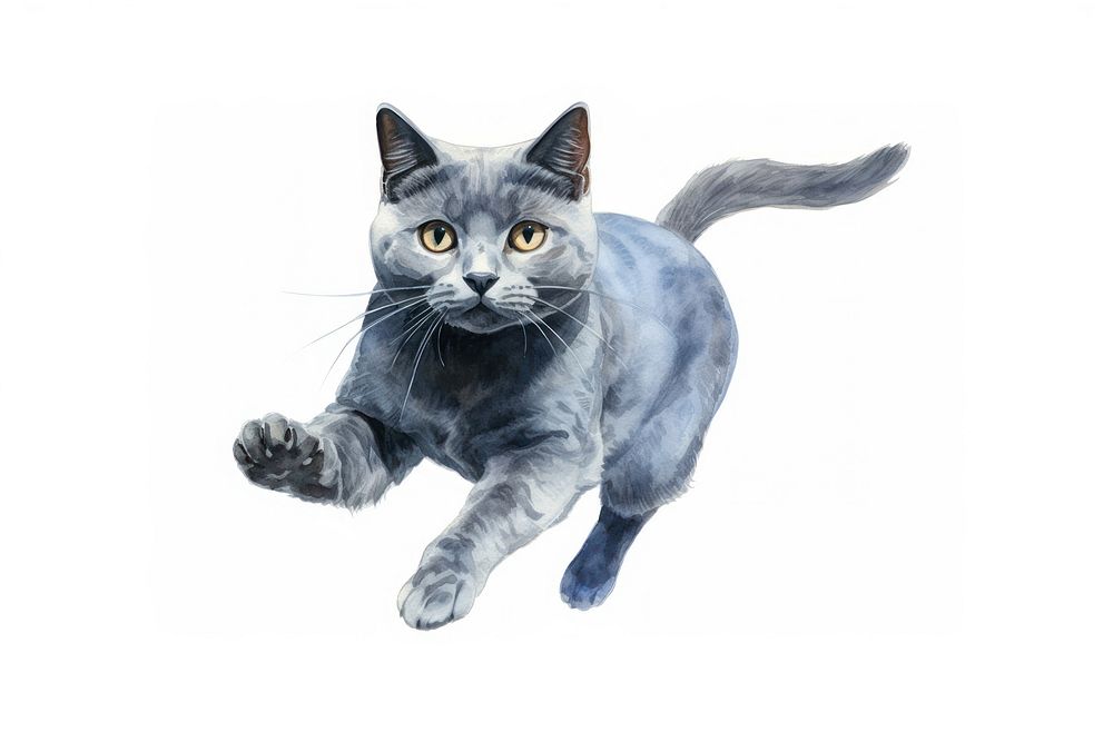 Animal mammal kitten sketch. AI generated Image by rawpixel.