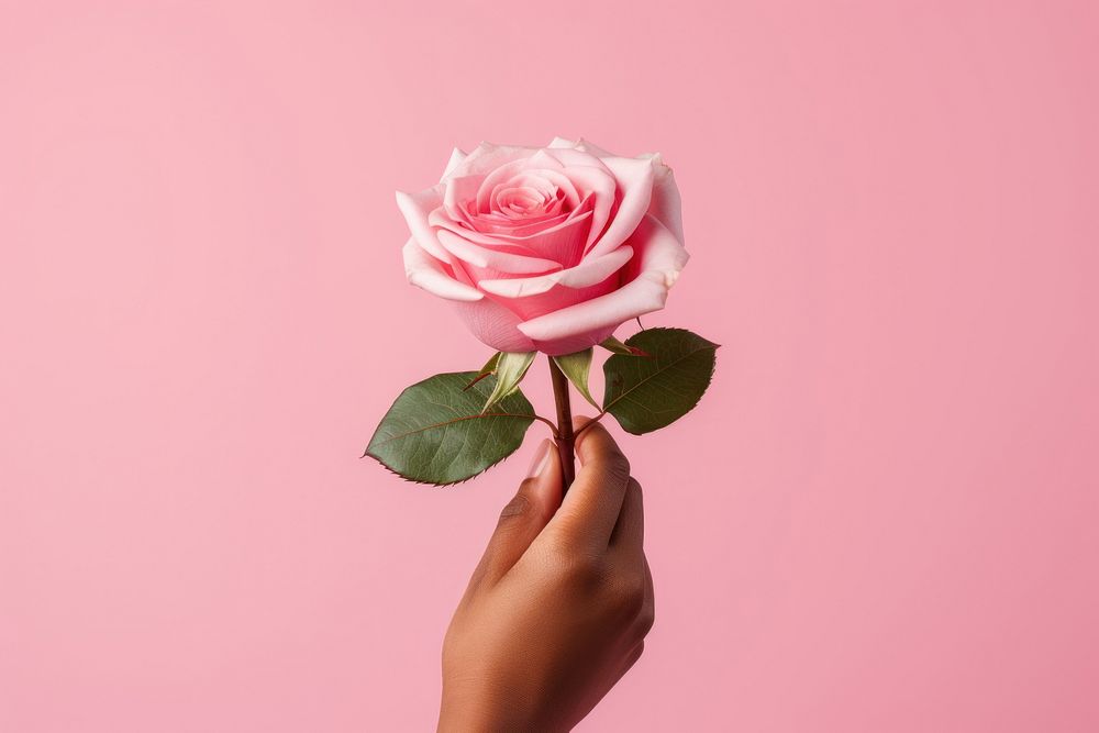 Love rose holding flower. AI generated Image by rawpixel.