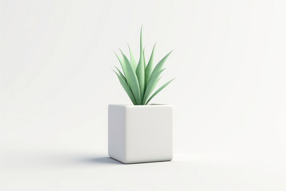 Plant aloe vase bromeliaceae. AI generated Image by rawpixel.