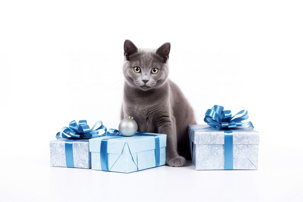 Christmas mammal animal gift. AI generated Image by rawpixel.