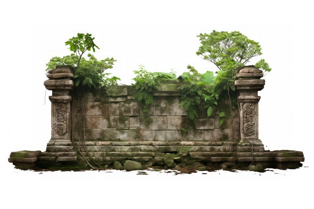 Wall architecture outdoors plant. AI generated Image by rawpixel.
