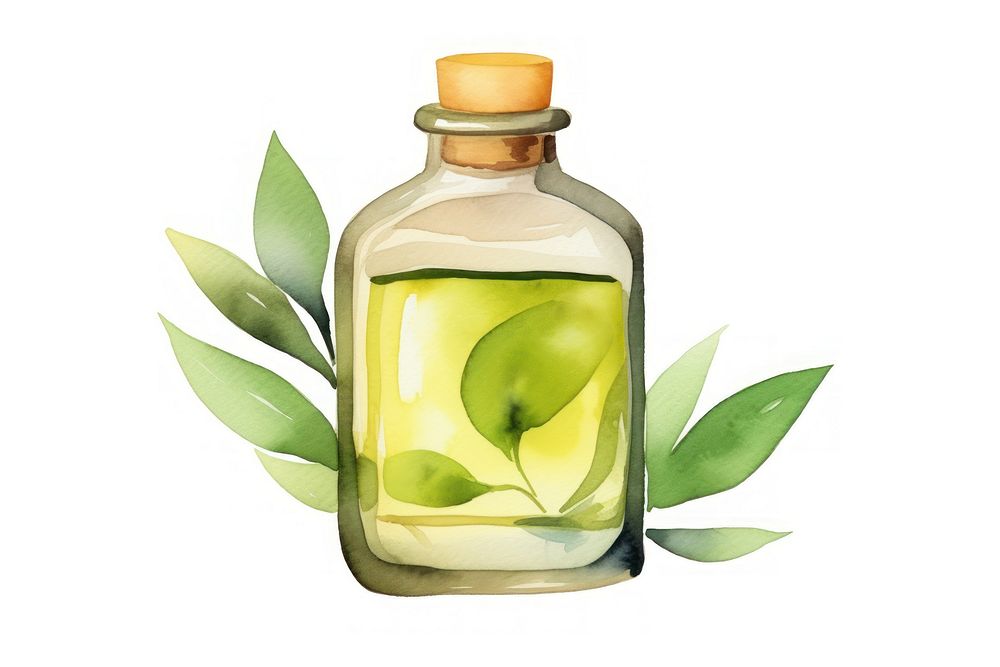 Bottle plant white background container. AI generated Image by rawpixel.