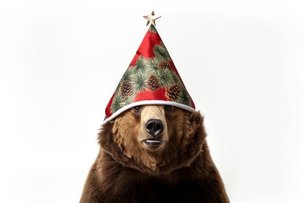 Christmas mammal animal bear. AI generated Image by rawpixel.