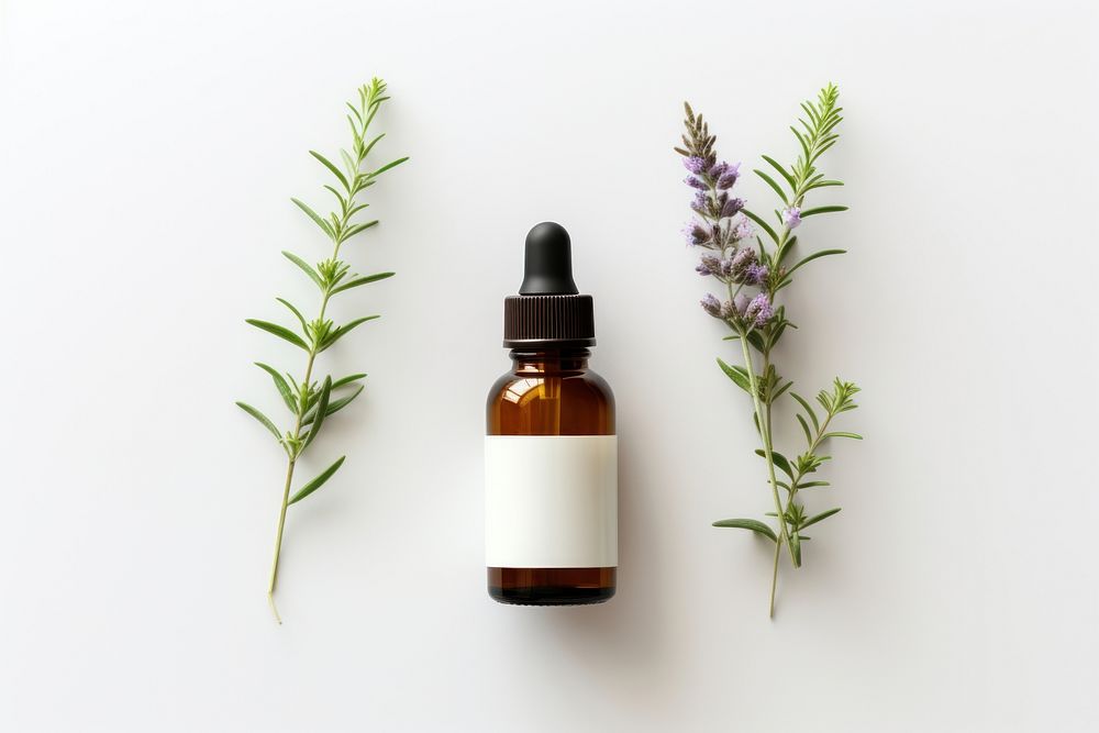 Lavender perfume bottle plant. AI generated Image by rawpixel.