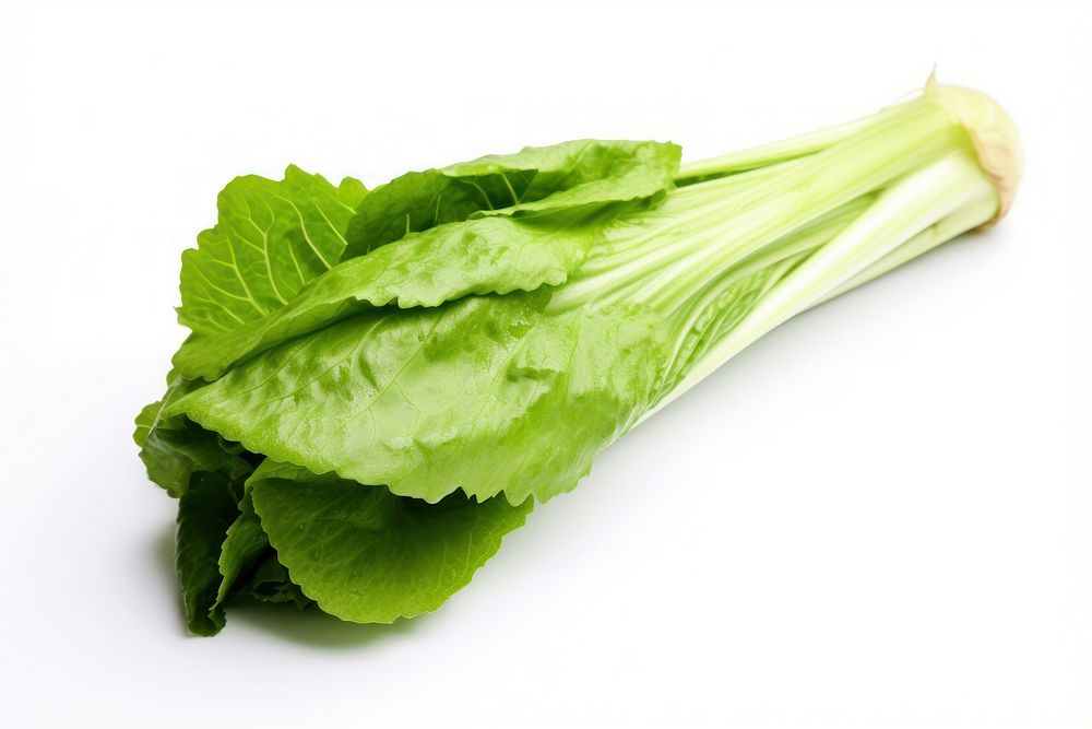 Vegetable lettuce plant green. AI generated Image by rawpixel.