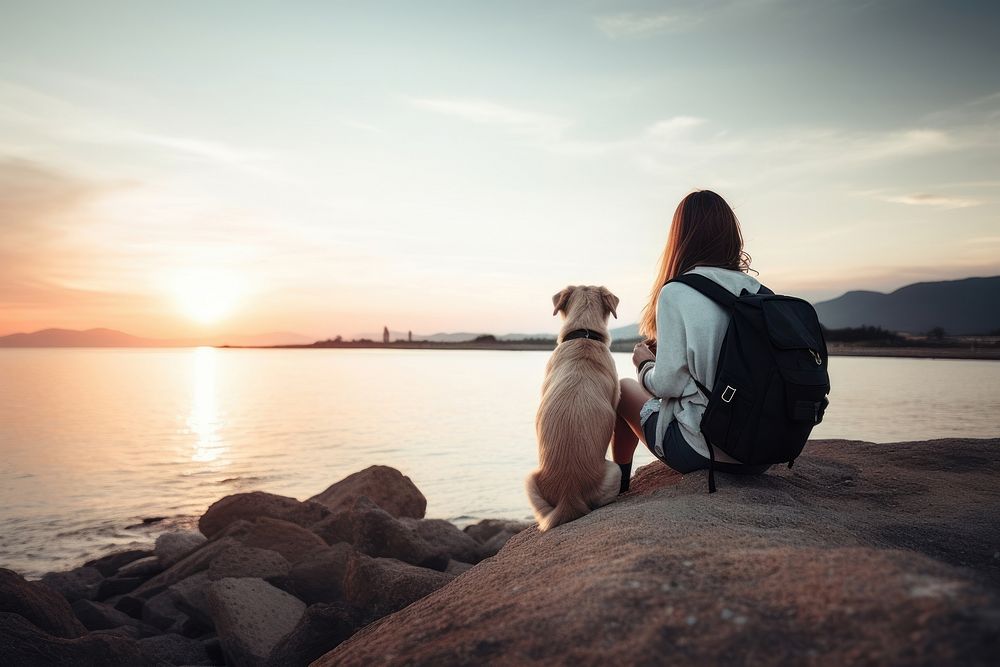 Dog outdoors backpack sitting. 