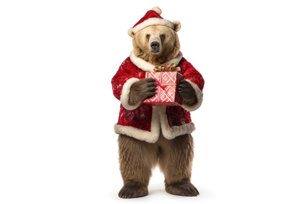 Bear christmas standing costume. 