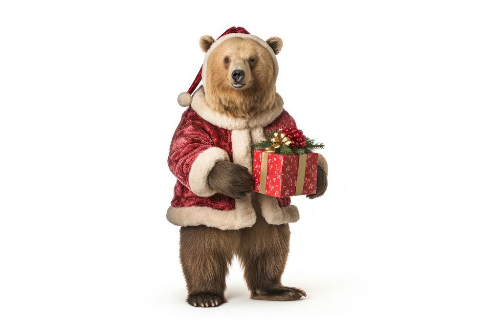 Bear christmas standing costume. AI generated Image by rawpixel.