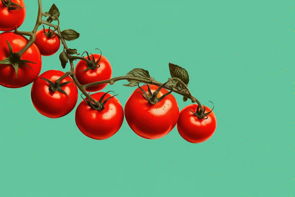 Tomato vegetable fruit plant. AI generated Image by rawpixel.