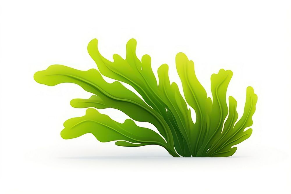 Seaweed green plant leaf. AI generated Image by rawpixel.