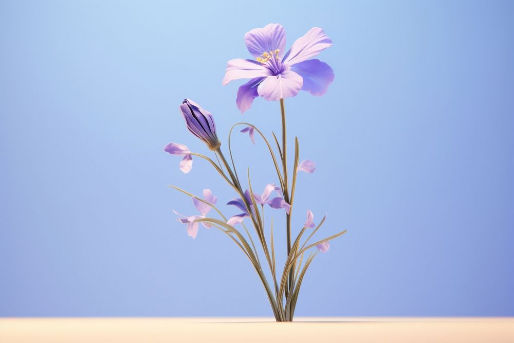 Flower blossom petal plant. AI generated Image by rawpixel.