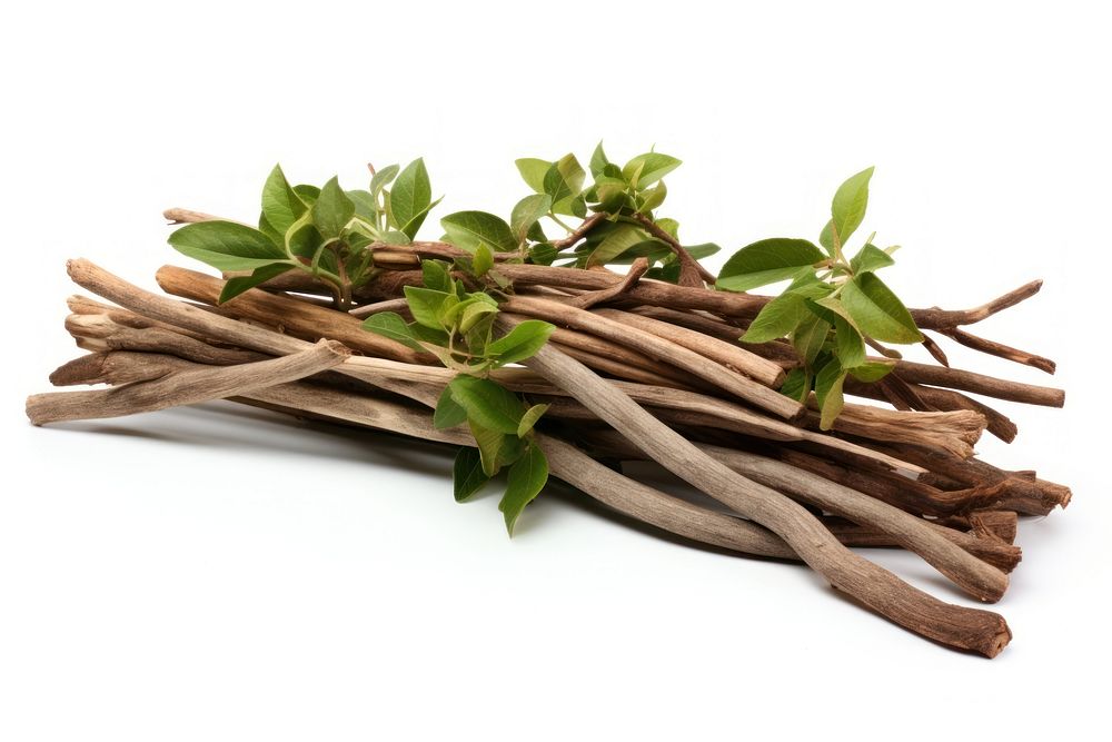 Driftwood branch plant herbs. AI generated Image by rawpixel.
