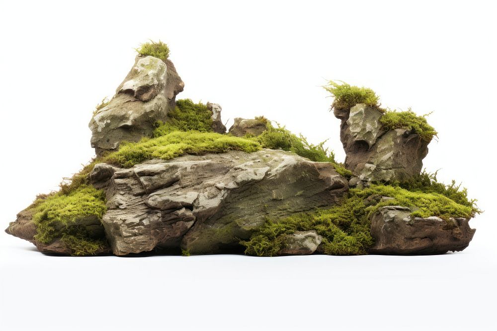 Moss outdoors nature plant. AI generated Image by rawpixel.