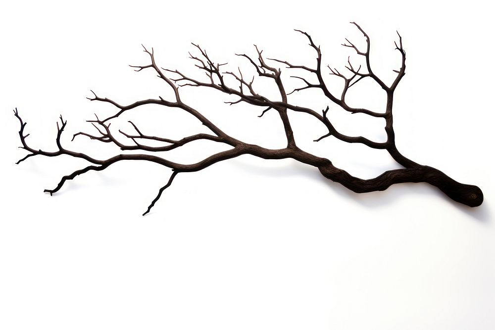 Branch plant tree art. AI generated Image by rawpixel.