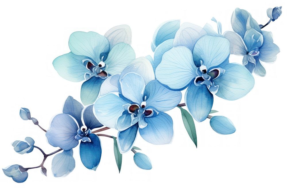 Flower orchid plant blue. AI generated Image by rawpixel.