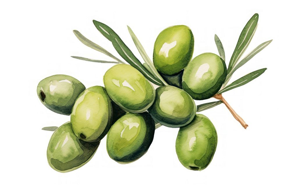 Olive plant food leaf. AI generated Image by rawpixel.