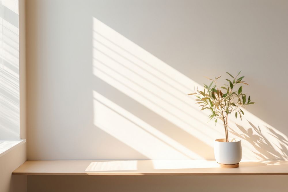 Windowsill light plant architecture. 