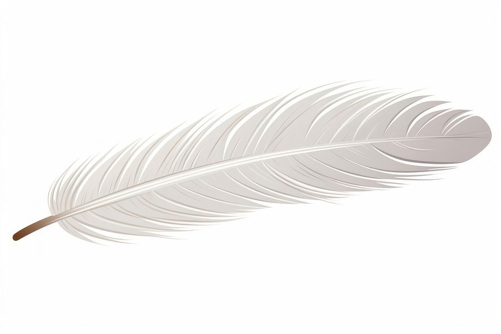 Feather white bird white background. AI generated Image by rawpixel.