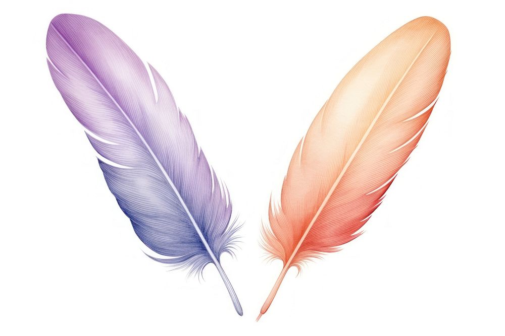 Feather white background lightweight creativity. AI generated Image by rawpixel.