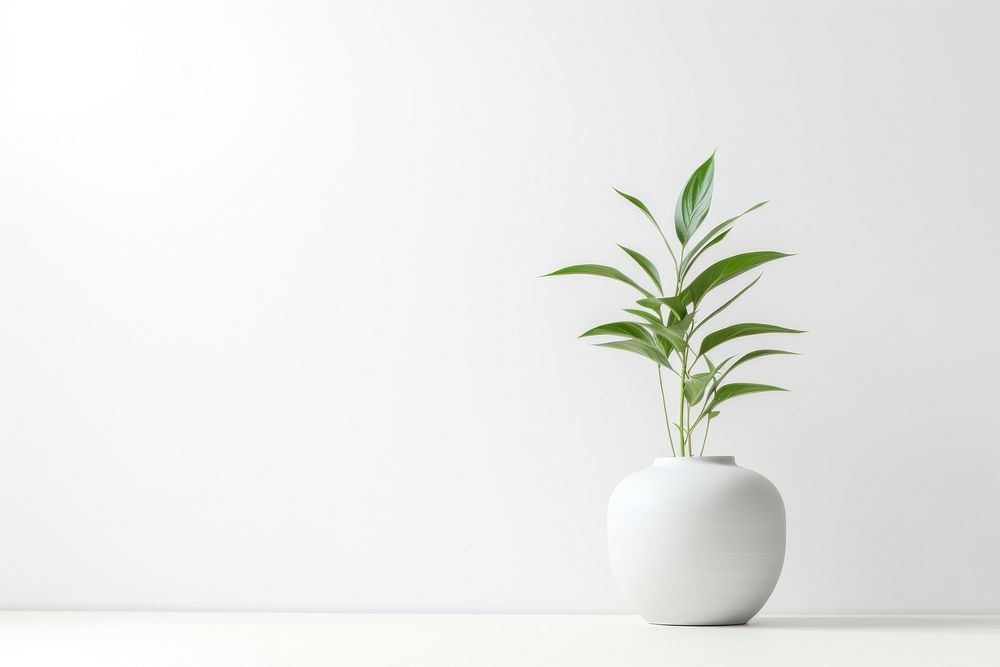 Plant white vase leaf. AI generated Image by rawpixel.