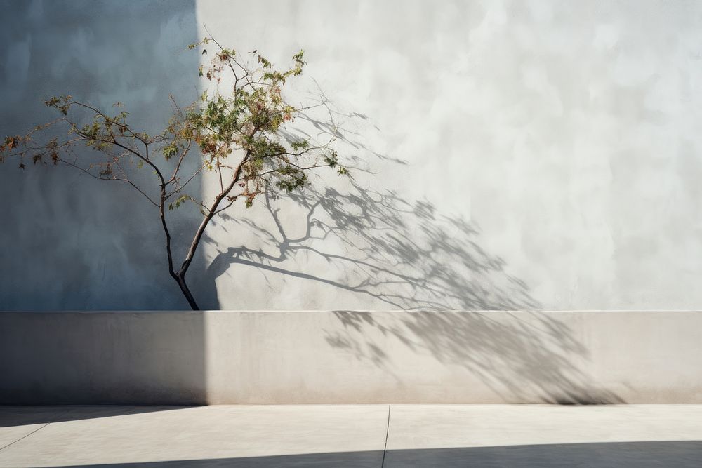 Tree architecture building shadow. AI generated Image by rawpixel.