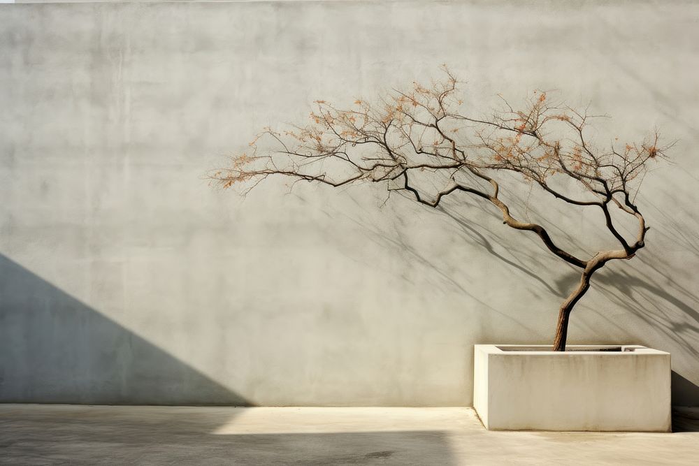 Tree architecture bonsai branch. AI generated Image by rawpixel.