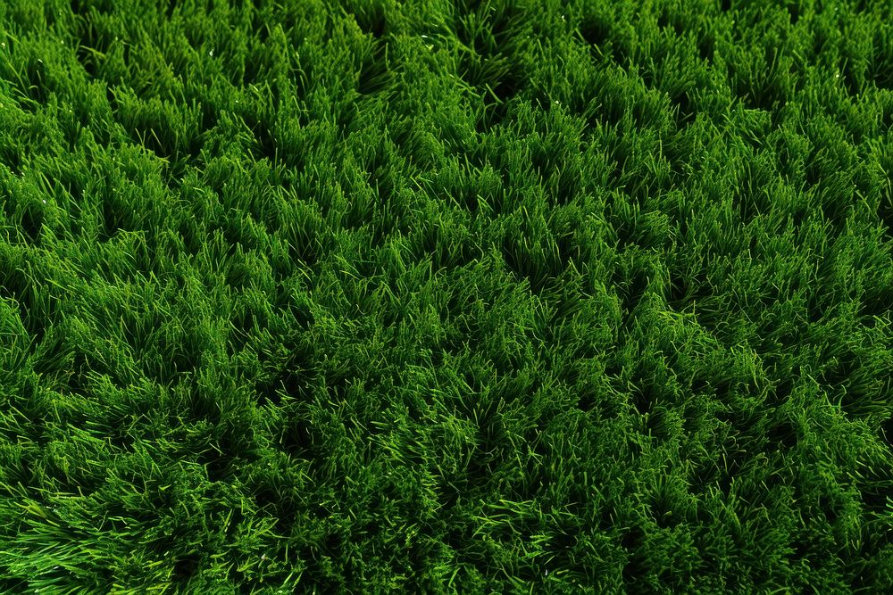 Grass land backgrounds vegetation. AI generated Image by rawpixel.